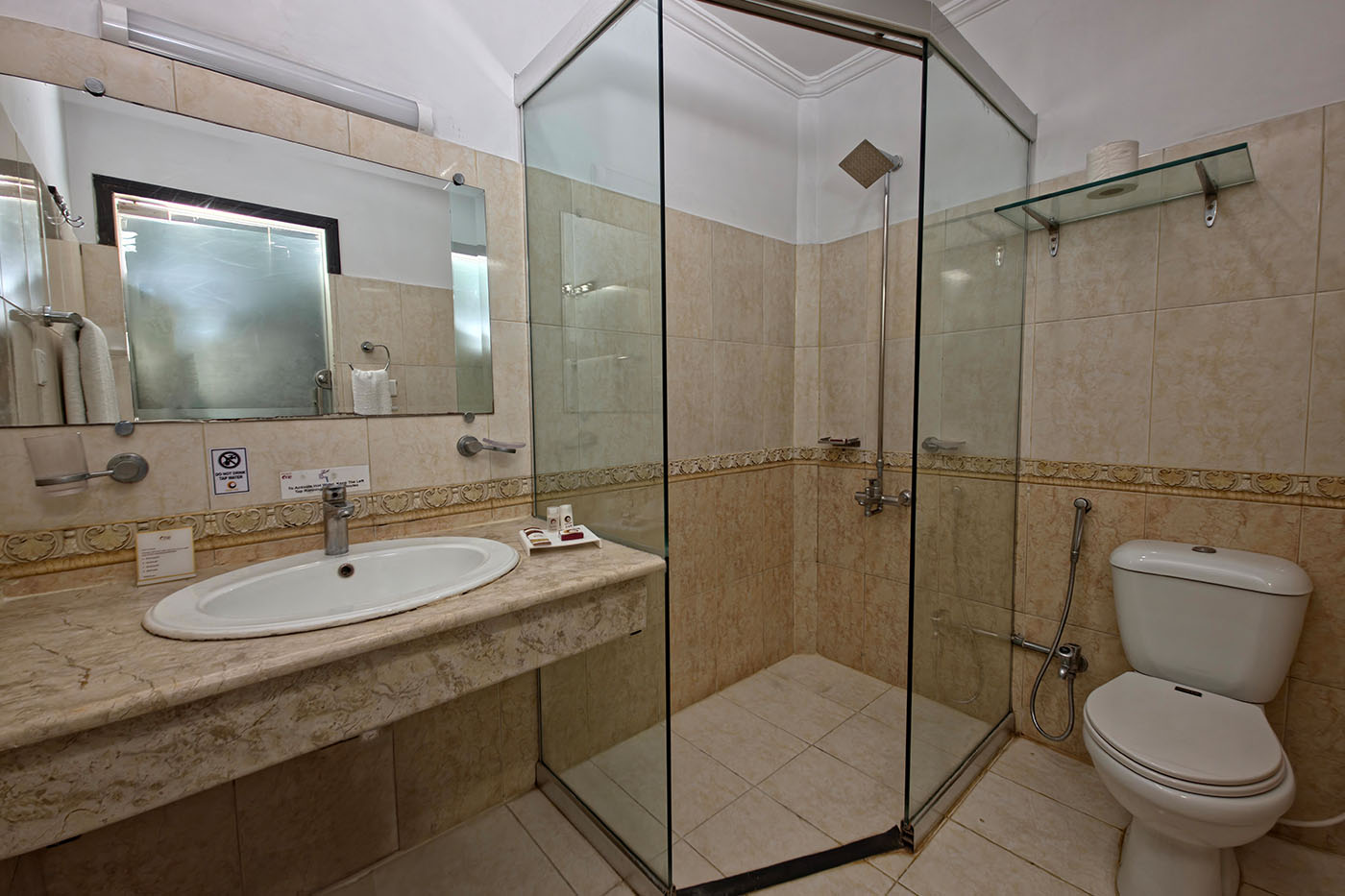Deluxe Twin image 6