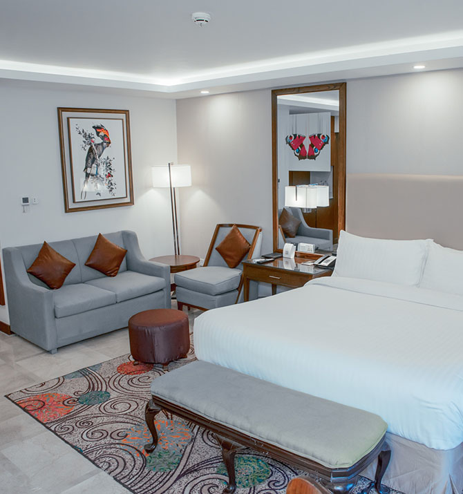 Family Suite